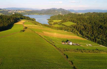 FAJNE CHATY - rodzinny wypoczynek w górach - Foto 74