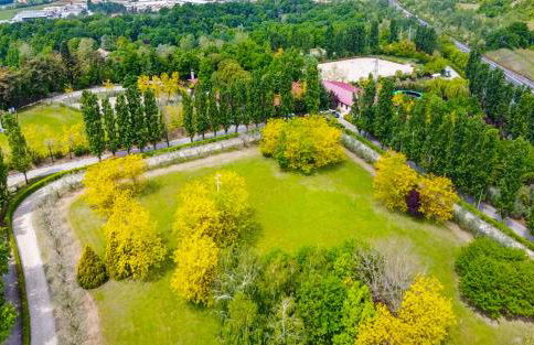 Lake & Country Holidays - Foto 33