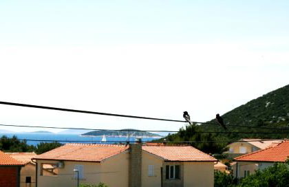 Sunshine Apartment Sovlje - Foto 56