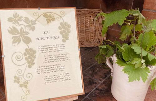 La Racioppola - Foto 5