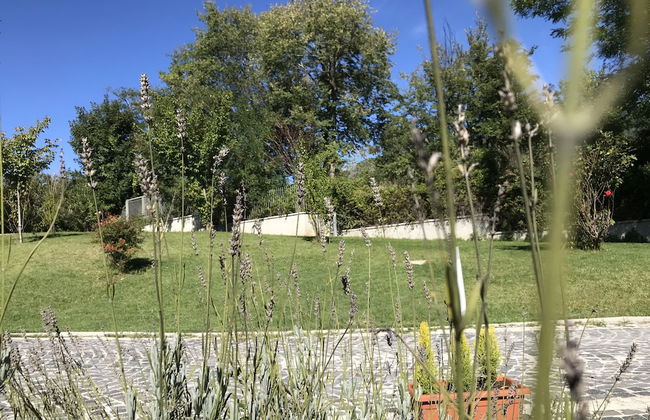 Oasi del Vetoio - Photo 28