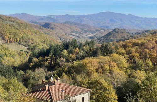 Bio Agriturismo il Vigno - Foto 142