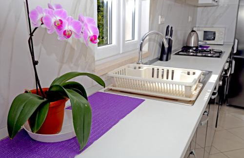 Apartment River Rose - Foto 12