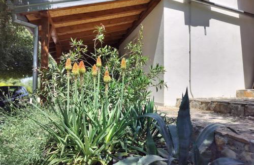 Prominska Bajka - Foto 9