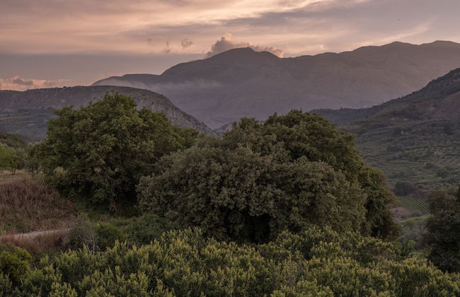 Villa Lambraki - Foto 19