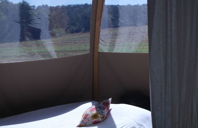 Ô bois dormant - Foto 26