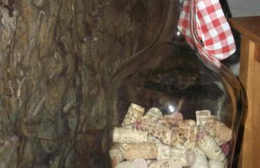 Quinta do Pé Longo - Serra da Estrela - Foto 16