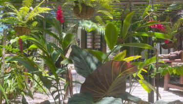 REFUGIO DO SAGRADO MORERE Tropical Lodge - A Casa do Vigía - Foto 1, Garden, Garden view