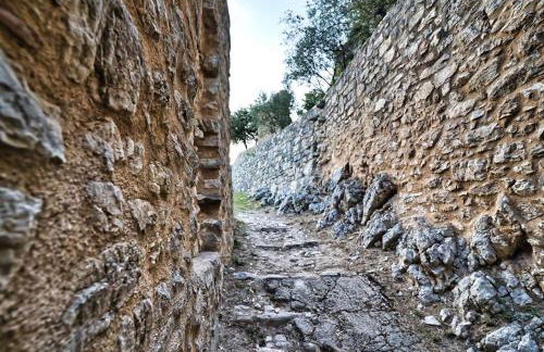 Guesthouse Runcini - Photo 37