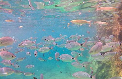 Villa Palma Nana al Plemmirio - Foto 28