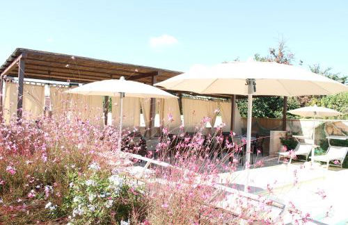 La Corte dei Colori - Foto 15