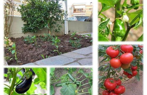 Gaia cottage with garden - Photo 7