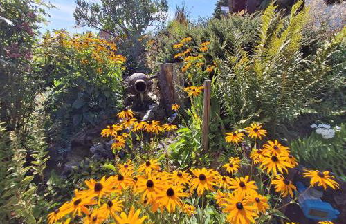 Ferienwohnung Fichtelwald - Foto 53