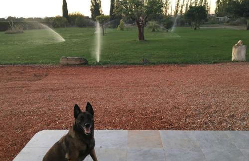 Appartement à 10km de la grande motte, Palavas... - Foto 18