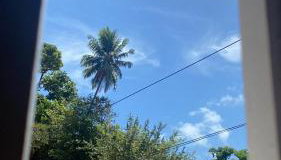 Casa sítio historio de Olinda - Foto 4