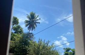 Casa sítio historio de Olinda - Foto 4