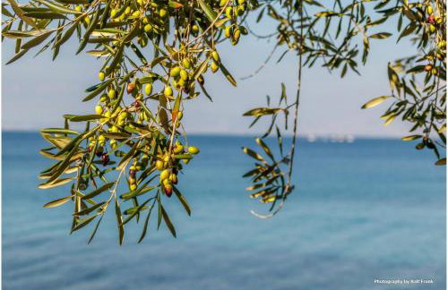 Traditional Fishing Village Apartments - Foto 38