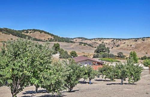 Cottage by the Lakes with Patio by Lake Nacimiento - Foto 24