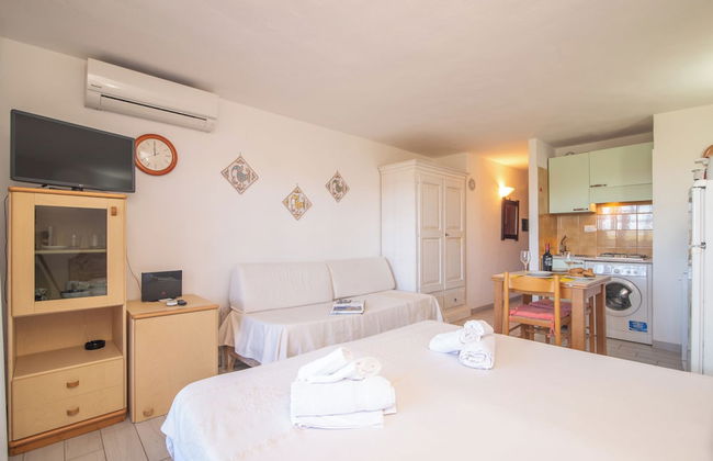 Mono Calamaro Eucalyptus 242 - Foto 5