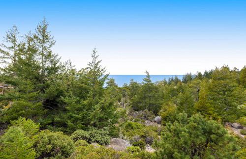 Sequoia Vista - Foto 9