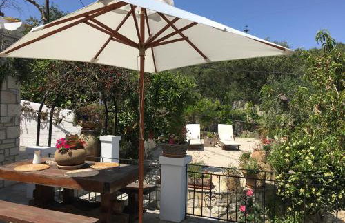 Harry's Studios - Photo 72