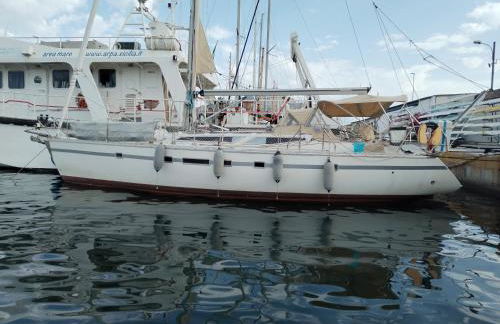 Gloria Sailing - Foto 51
