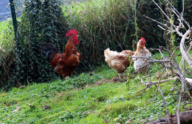 Monte Baserria - Photo 52