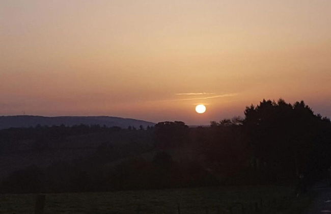Holiday Home in La Roche With Sauna - Photo 32