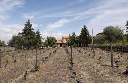 Casa da Farmácia - Foto 7