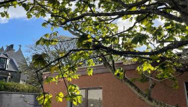 Cosy cottage in Kveldrso Gardens - Foto 3