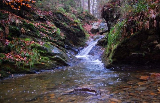 Luxury Spa Castle With Swimming Pool - Foto 32