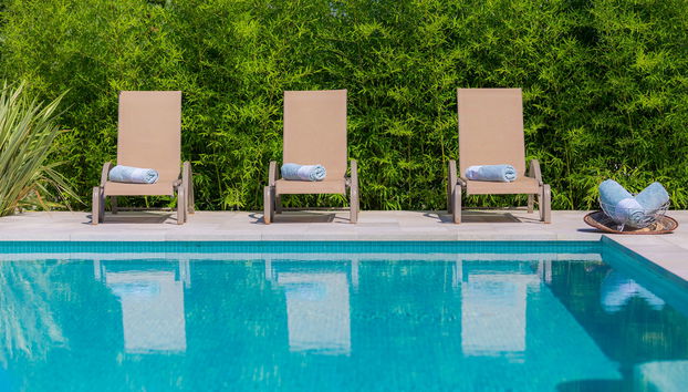 Salamander - Foto 5, Inside other