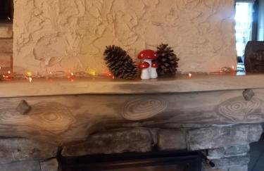 Chatka Ustrzyki - Foto 9