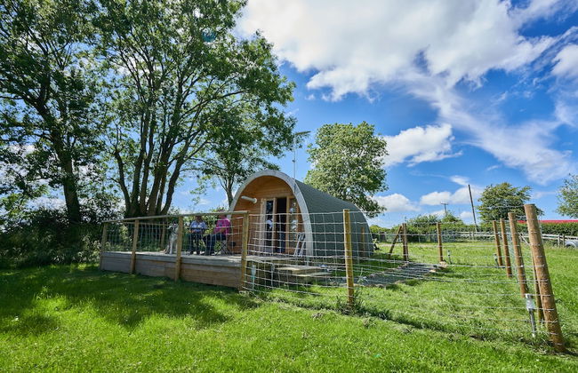 Pencastell Views Pod With Stunning Views - Photo 25