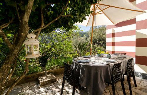 Chalet Monchique - Foto 26