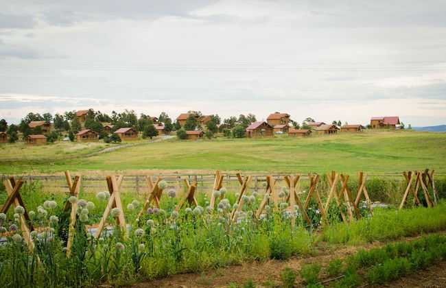 Zion Mountain Ranch - Foto 52