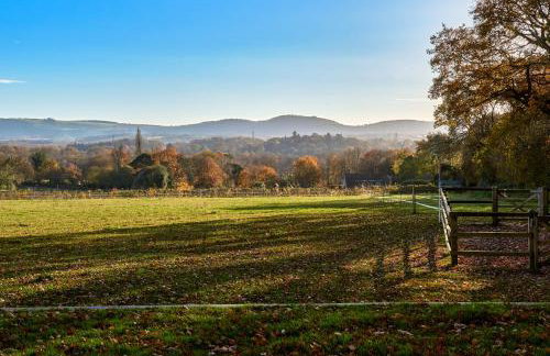 Stunning Cabin with incredible views near Goodwood - Foto 39