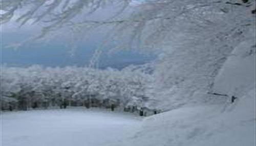 La Casa Di Nena - Foto 4