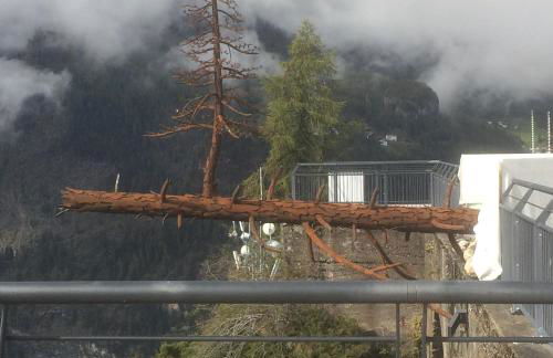 Cesa Fossal - Foto 46