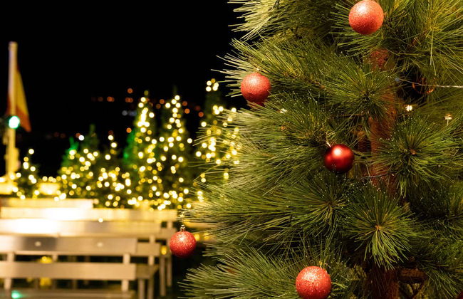 Barco navideño de Vigo - Foto 3