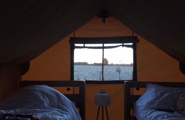 Ferme du Caroire - Foto 11