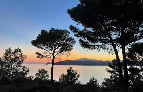 Villa Madonna delle Grazie con accesso privato al mare - Goelba - Foto 66