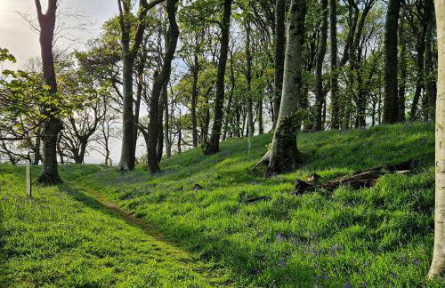 Bankswood Cottage - Foto 27