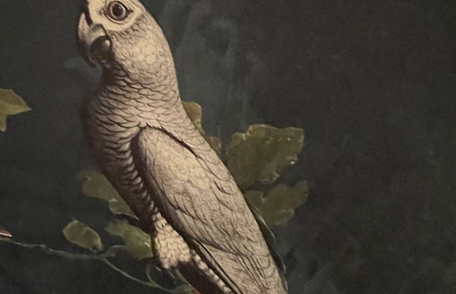 La Guinière Chambres D'hôtes - Foto 9