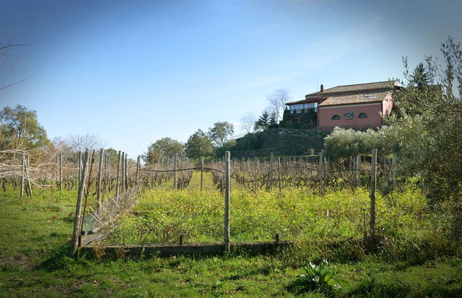 Agriturismo Kikajon - Photo 30