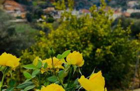 Ampelos Cretan Villa - Private Pool & Heated Ozone Jacuzzi - Photo 39