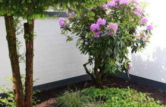 Leverkusen Schlebusch Ferienhaus - Foto 12