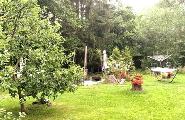 Delightful Apartment in Goslar With Garden and Terrace - Foto 28