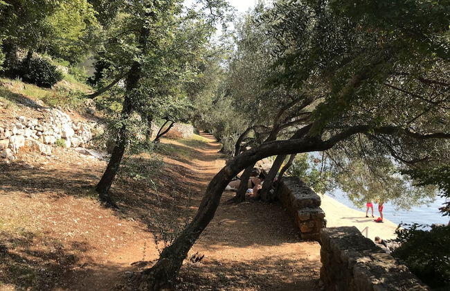 Apartments Six - Foto 43