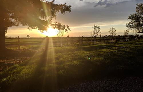 Epic Sunsets in Bozeman - Wonderful View - Photo 65